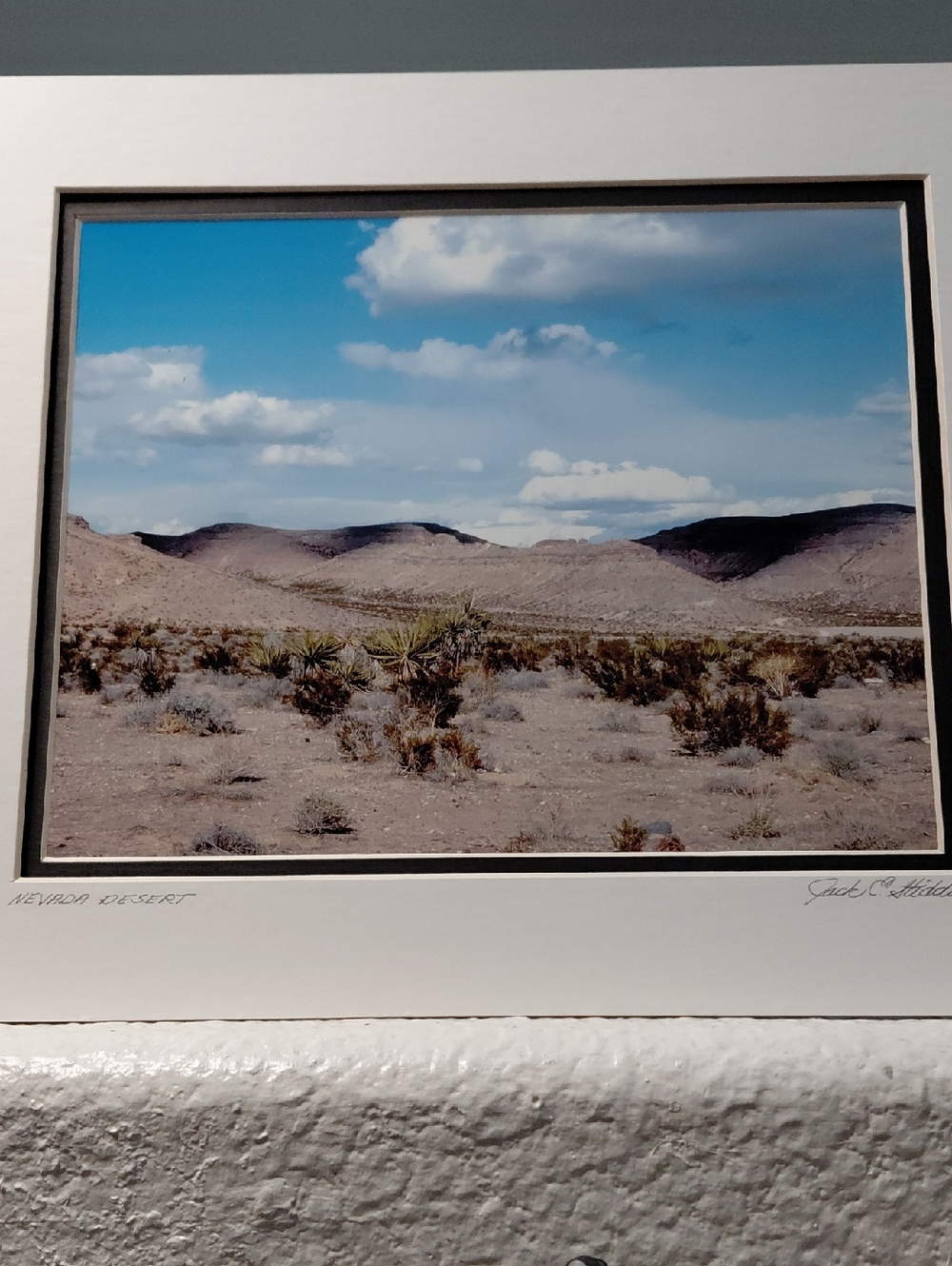 Nevada Desert Art Photo By Jack E. Stiddard 8x10/11x14 Mat